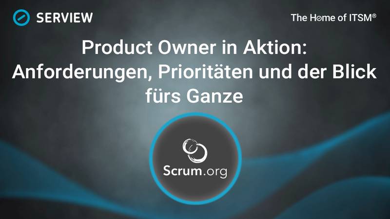 Product Owners in Action: Requirements, Priorities, and the Big Picture Infographic: The Product Owner in Action: Requirements, Priorities, and the Big Picture