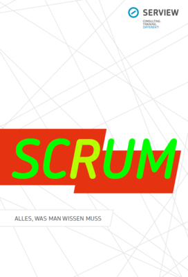 Scrum Master & Product Owner Book - Free PDF Download