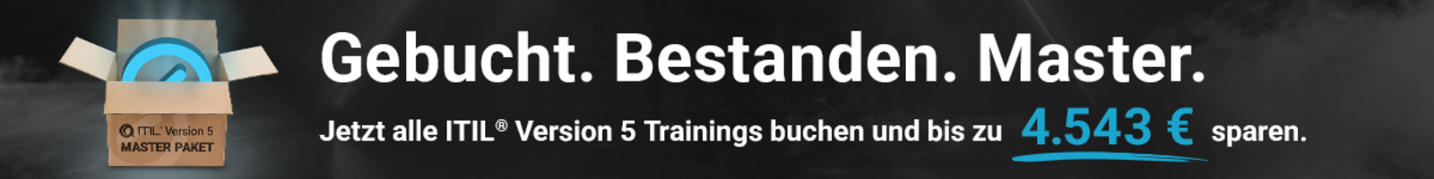 Graphic: Desktop SERVIEW Master Bundle Banner