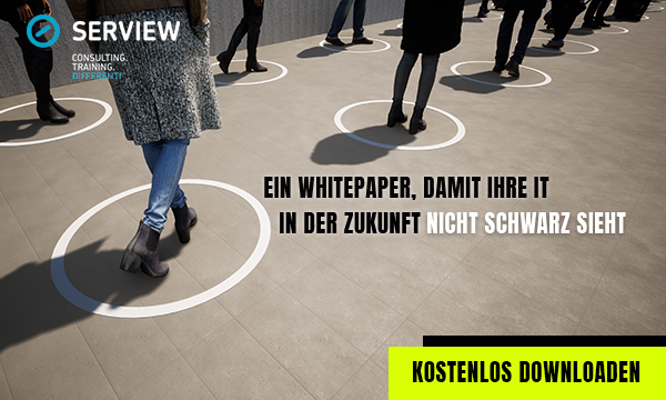 SERVIEW White Paper SERVIEW White Paper