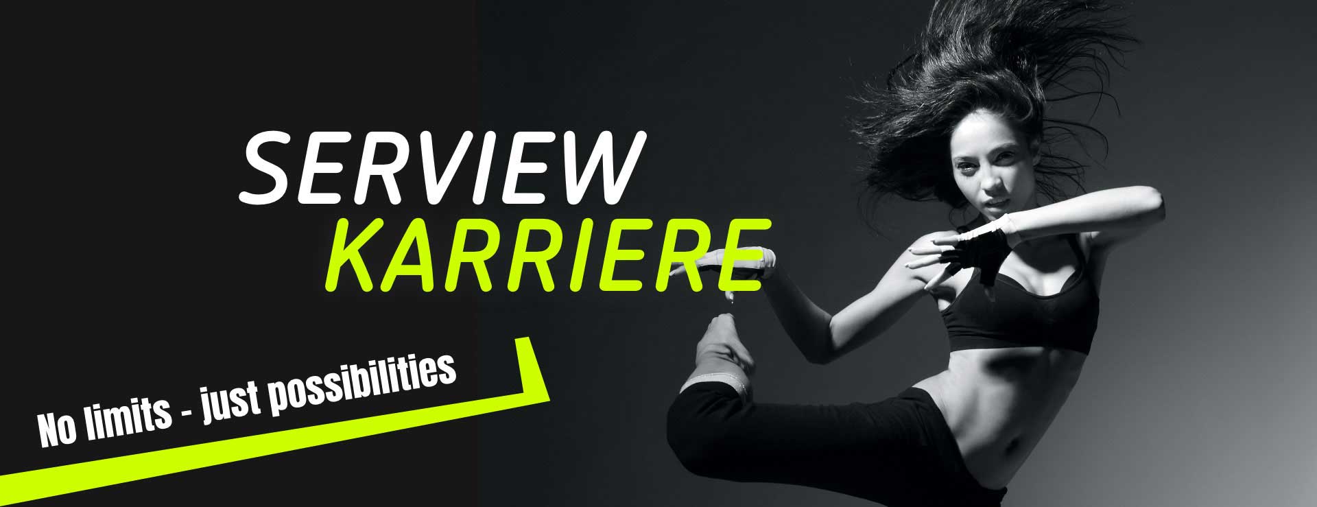 Careers SERVIEW Header