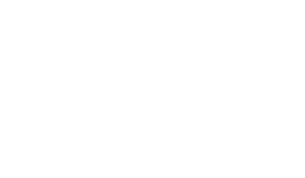 SERVIEW GmbH Consulting Dachser Logo SERVIEW GmbH Consulting Dachser Logo