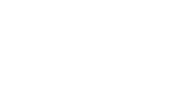 SERVIEW GmbH Consulting Witzenmann Logo SERVIEW GmbH Consulting Witzenmann Logo