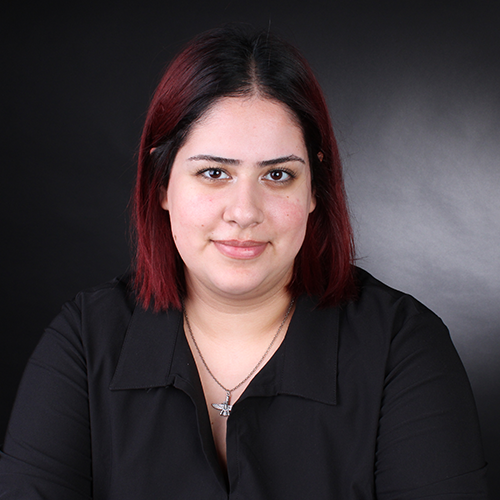  Negin Mehrabian