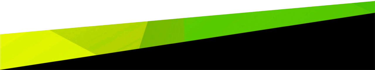 SERVIEW Consulting Services